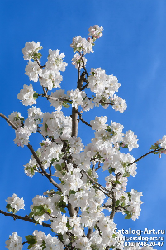 Blossom tree 112